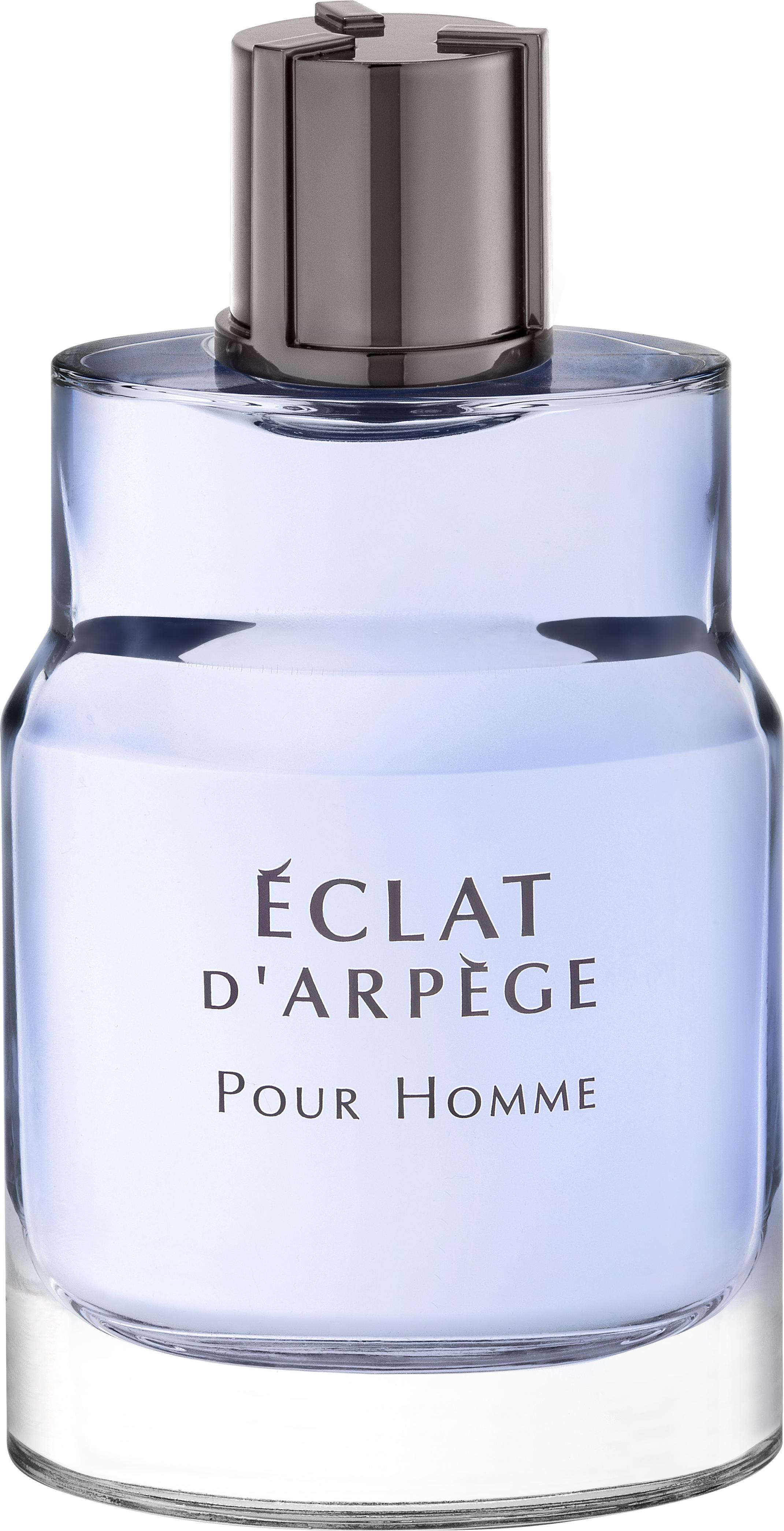 Flacon wody toaletowej Lanvin Eclat d'Arpege Pour Homme 100ml z eleganckim opakowaniem na białym tle - męskie perfumy cytrusowe