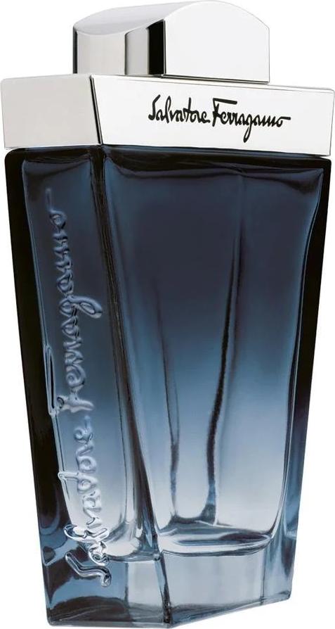 Flacon wody toaletowej Salvatore Ferragamo Subtil Pour Homme 100ml dla mężczyzn z eleganckim opakowaniem marki Ferragamo